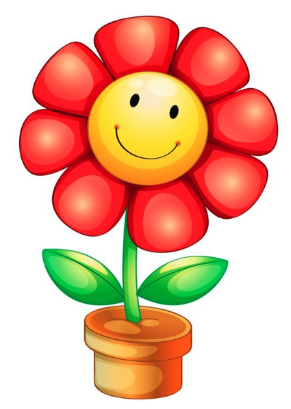  May flower